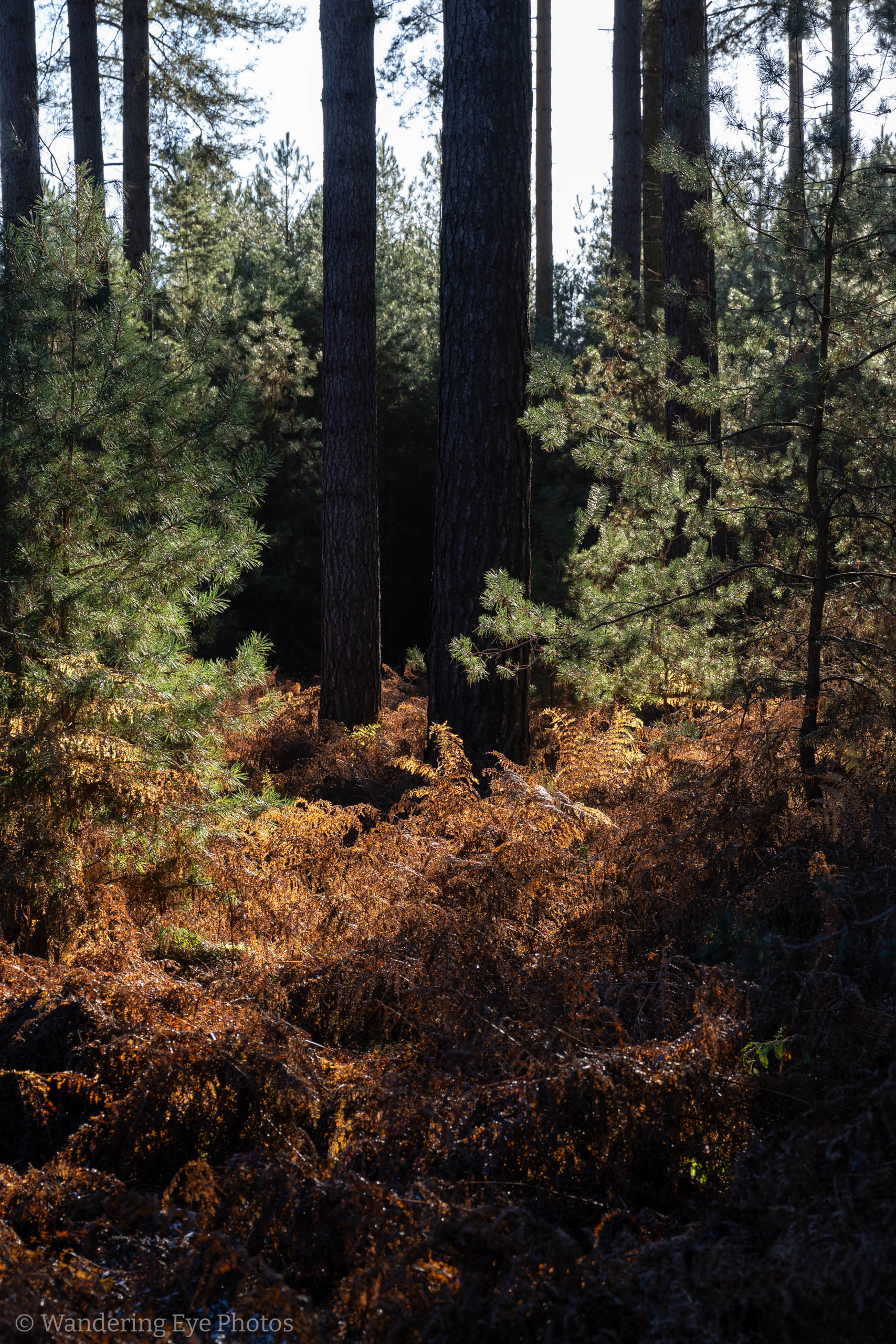 11.22 12.39.52   DSC04900